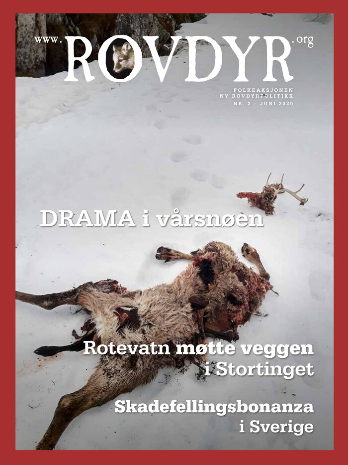 Forside Utgave 2 2020