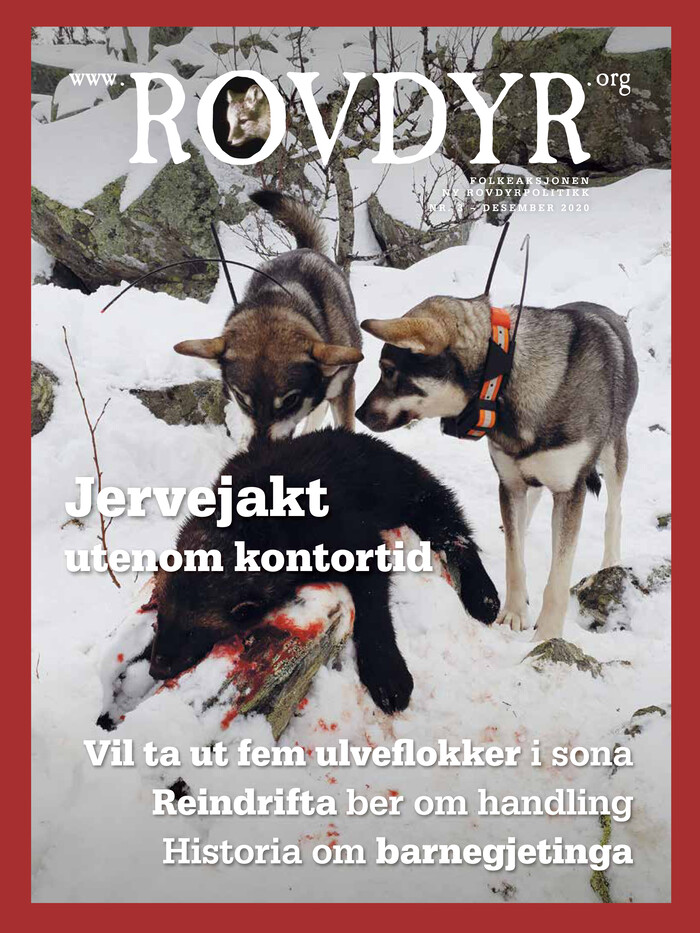 Forside Utgave 3 2020