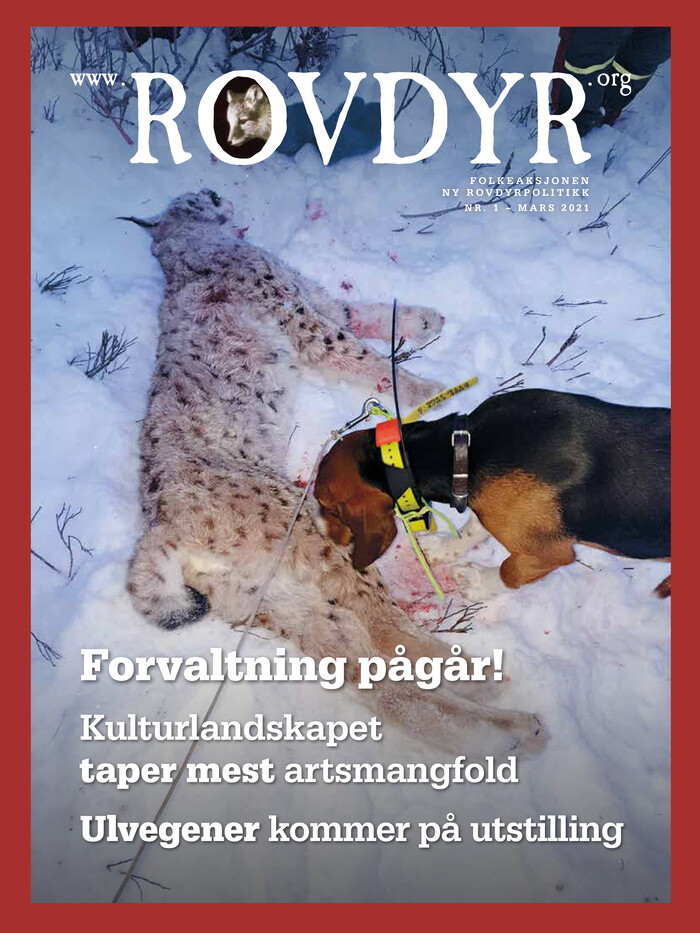 Forside Utgave 1 2021