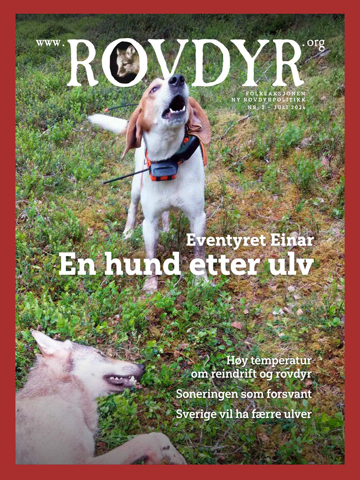 Forside Utgave 2 2024