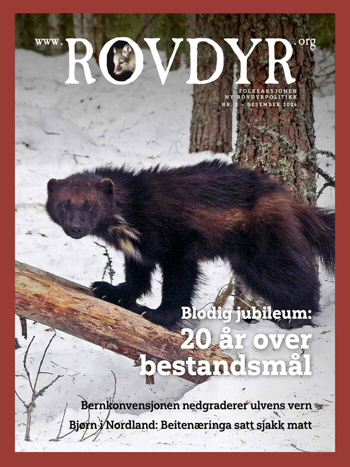 Forside Utgave 3 2024