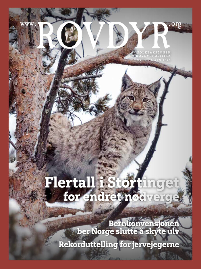 Forside Utgave 1 2025