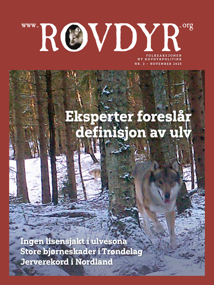 Forside Utgave 2 2025