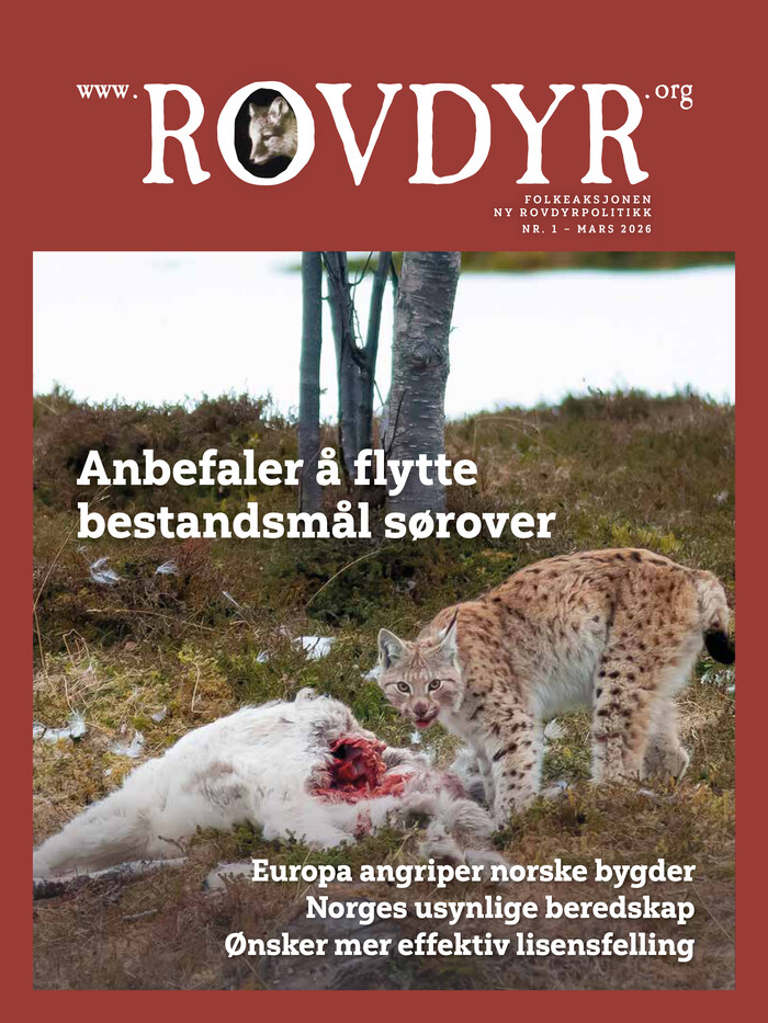 Forside Utgave 1 2026