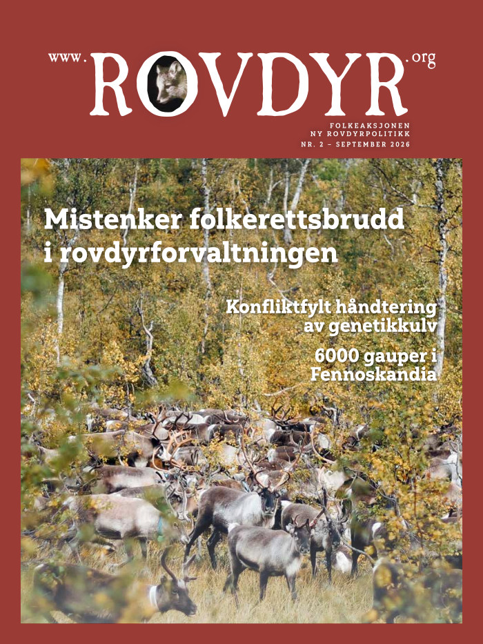 Utgave 2 2026